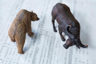Courtesy of pikwizard.com photo of miniature-bear-and-charging-buffalo