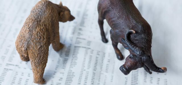 Courtesy of pikwizard.com photo of miniature-bear-and-charging-buffalo