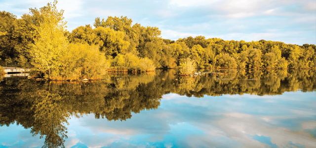 Autumn trees and clouds reflected in the lake water