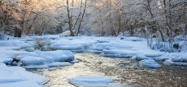 Flowing river in snowy woods